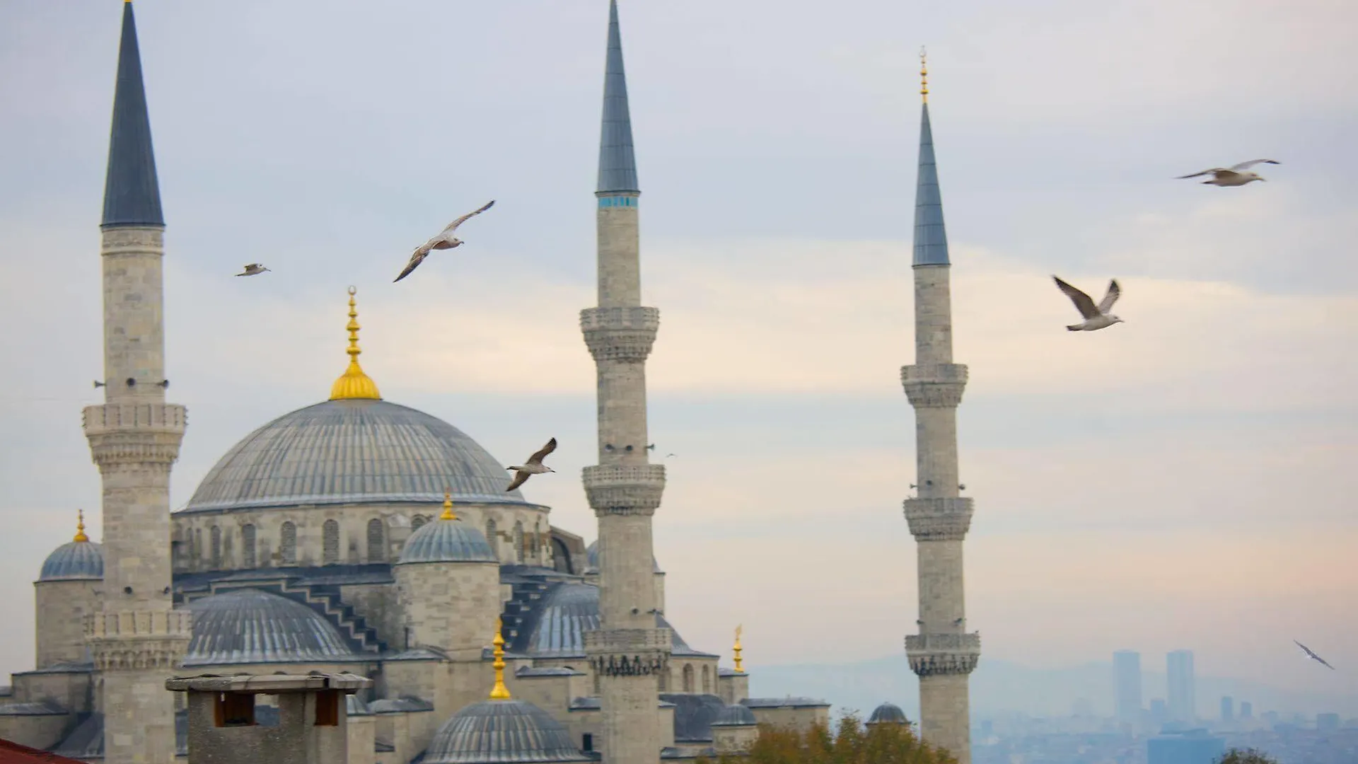 Hotel Perula & Spa Istanbul Turkey